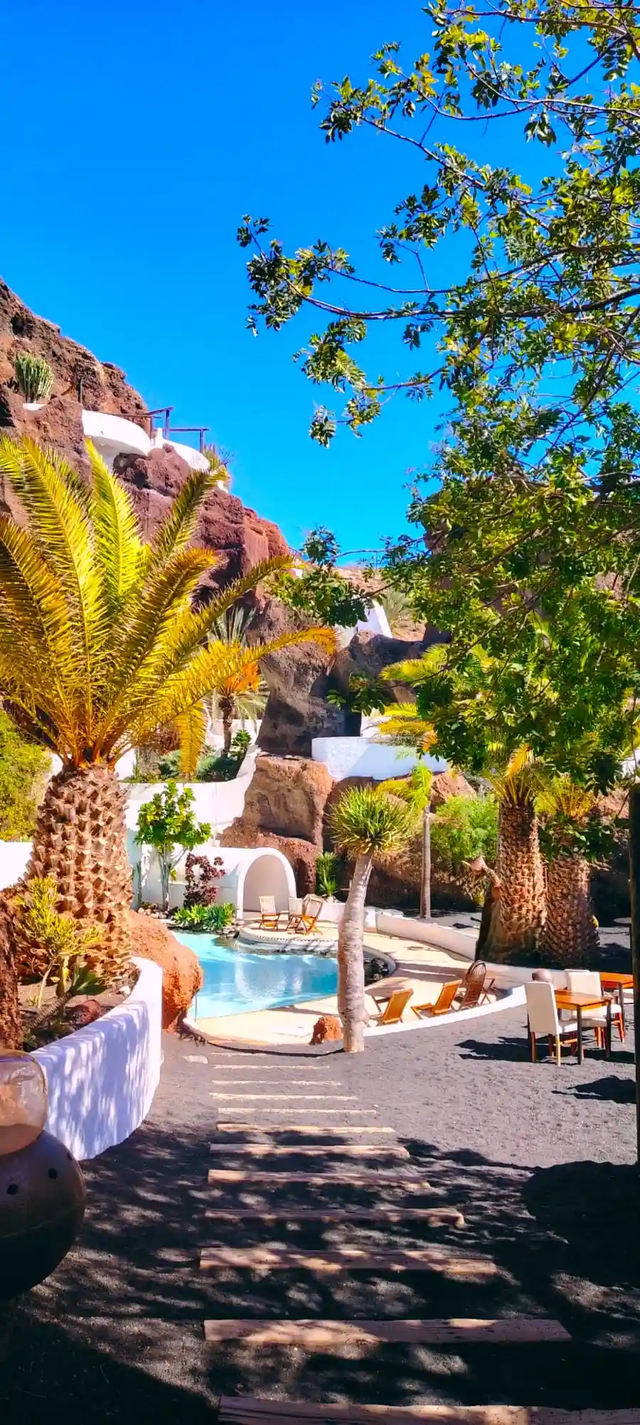 Giardino tropicale con piscina e palme