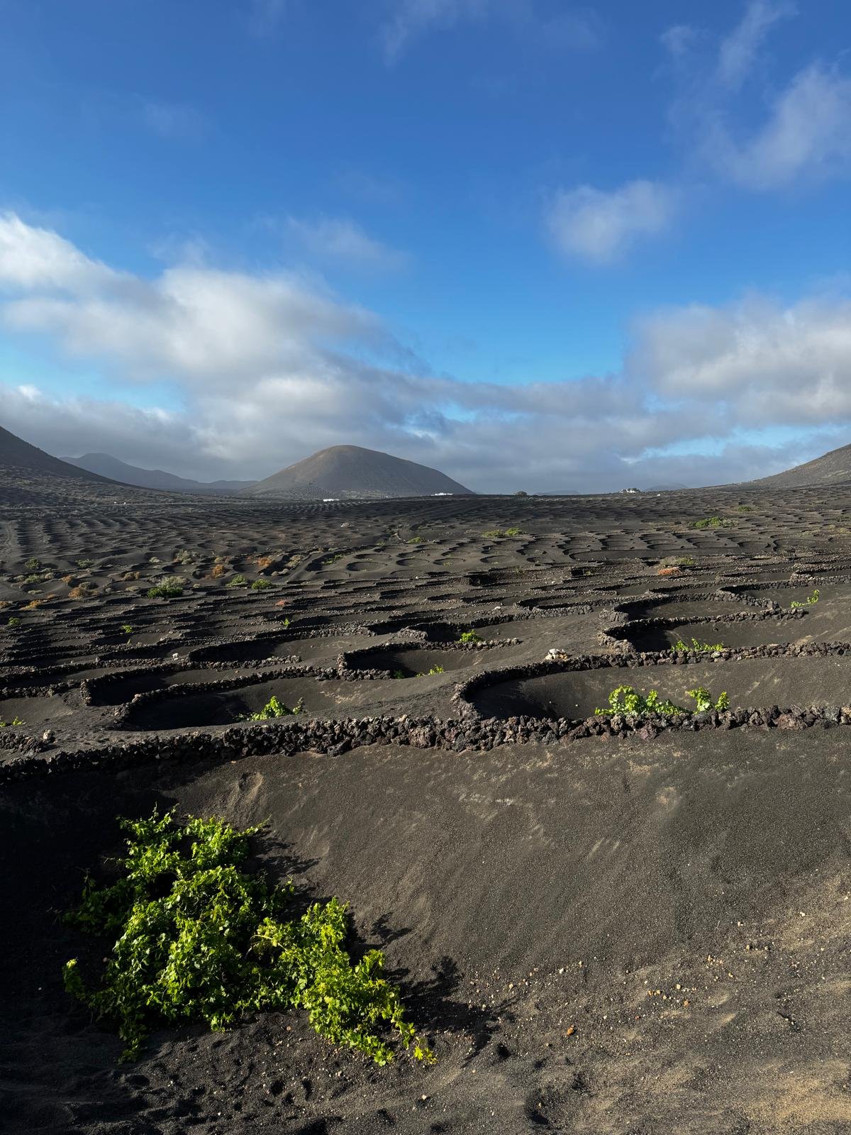 Giardini e spazi privati per matrimonio a Lanzarote